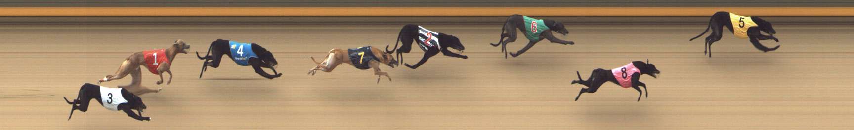 Photo finish for Shepparton Race 5