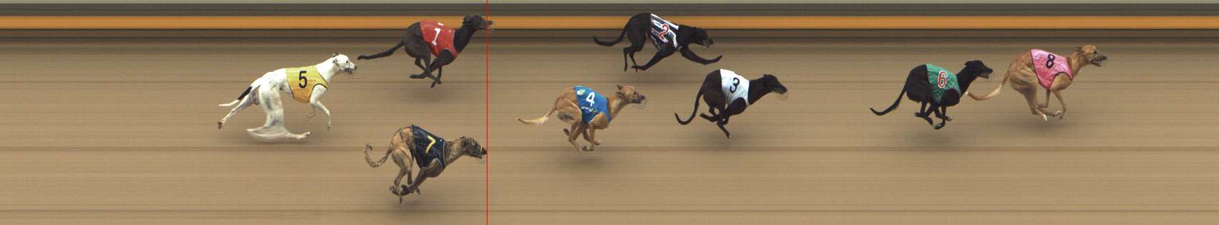 Photo finish for Shepparton Race 6