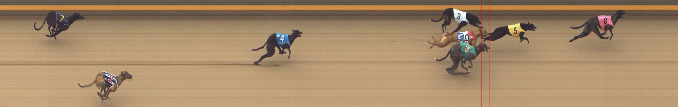 Photo finish for Shepparton Race 7