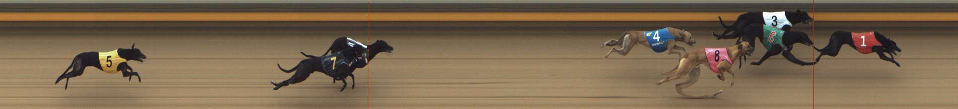 Photo finish for Shepparton Race 8