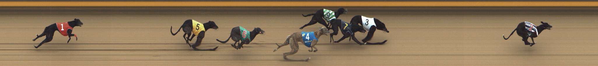 Photo finish for Shepparton Race 9