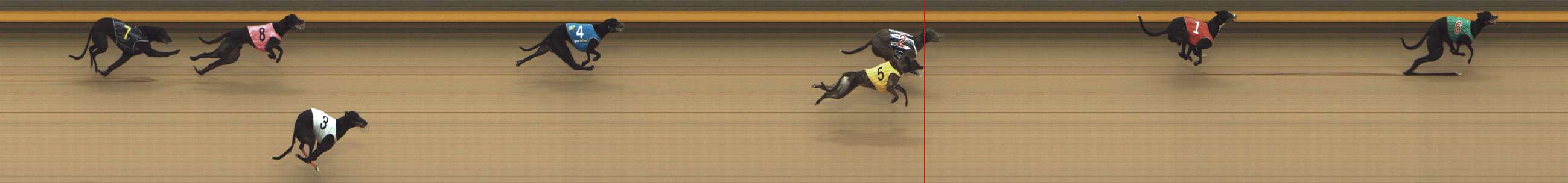 Photo finish for Shepparton Race 10