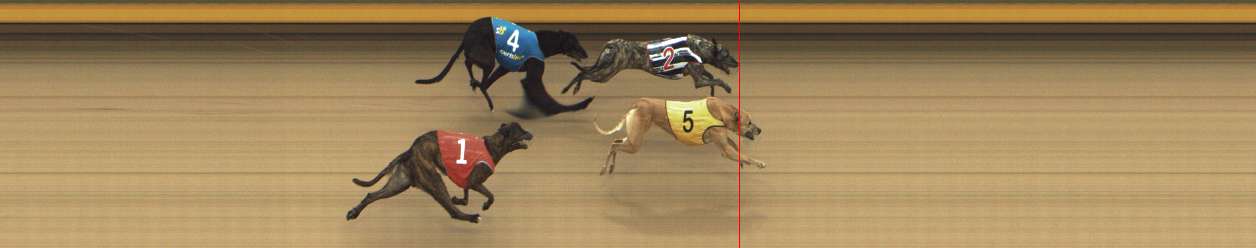 Photo finish for Shepparton Race 11