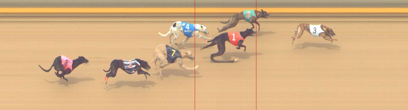 Photo finish for Shepparton Race 11