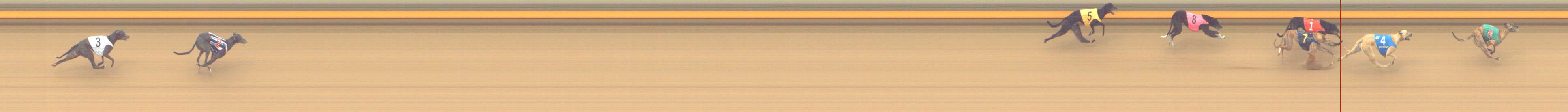 Photo finish for Shepparton Race 13