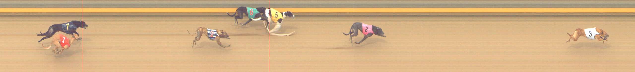 Photo finish for Shepparton Race 14