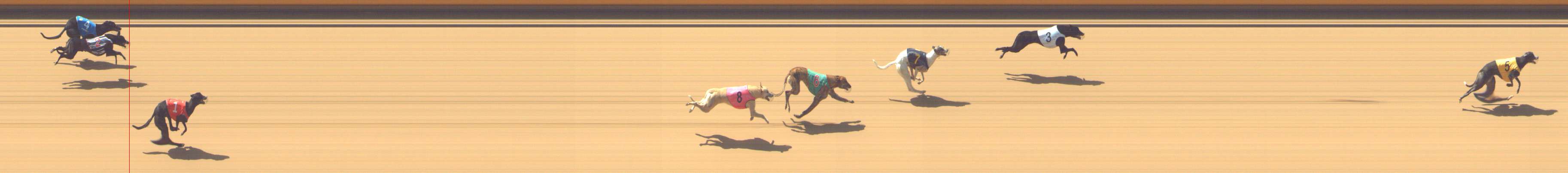 Photo finish for Shepparton Race 1