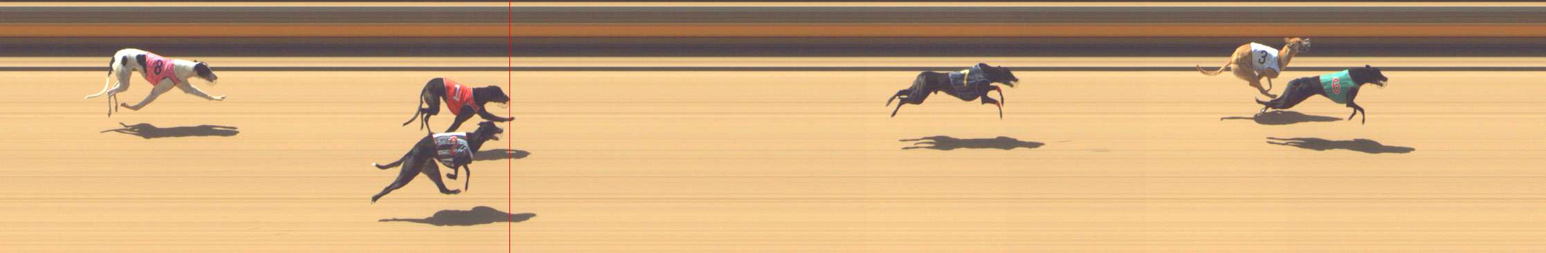Photo finish for Shepparton Race 2