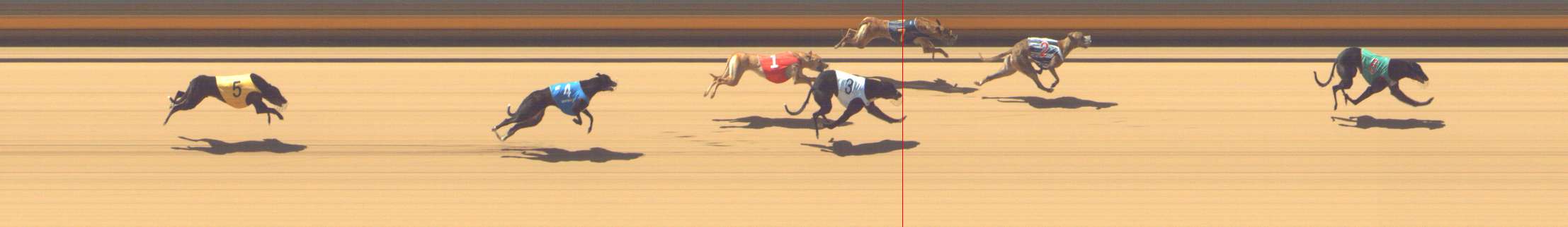 Photo finish for Shepparton Race 3