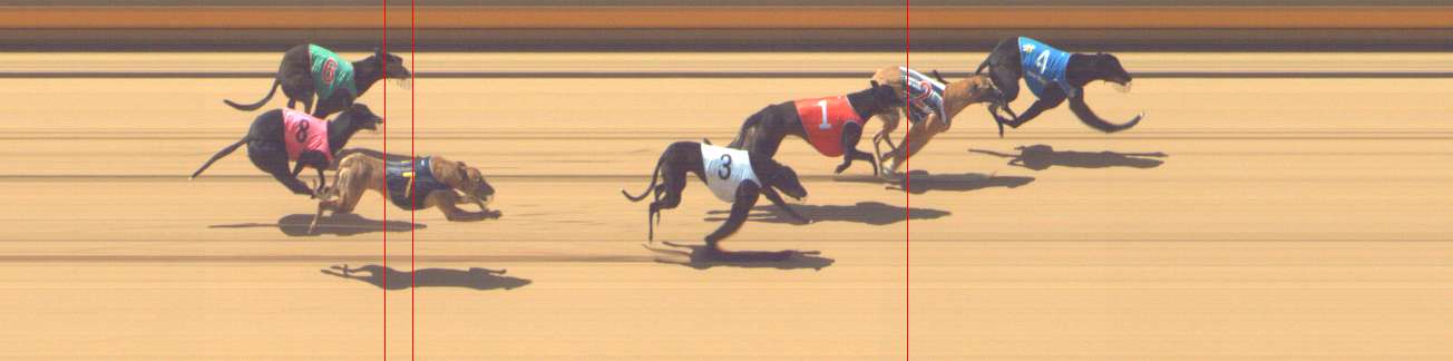 Photo finish for Shepparton Race 4