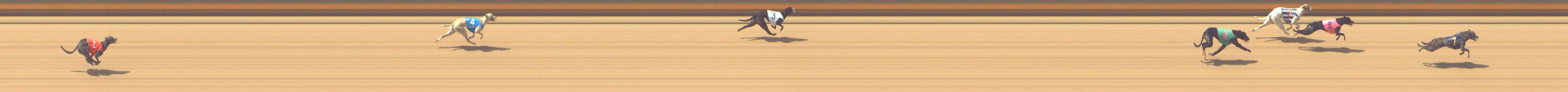 Photo finish for Shepparton Race 5
