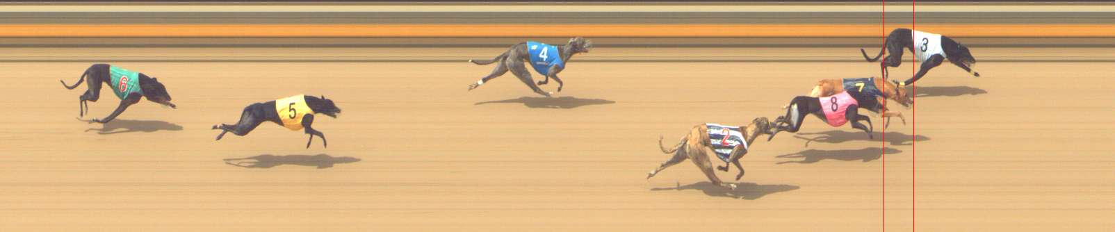 Photo finish for Shepparton Race 8