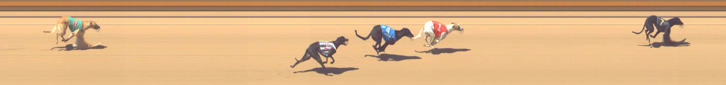 Photo finish for Shepparton Race 1
