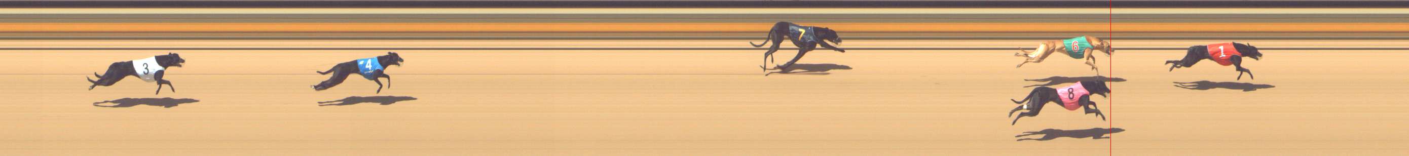 Photo finish for Shepparton Race 2