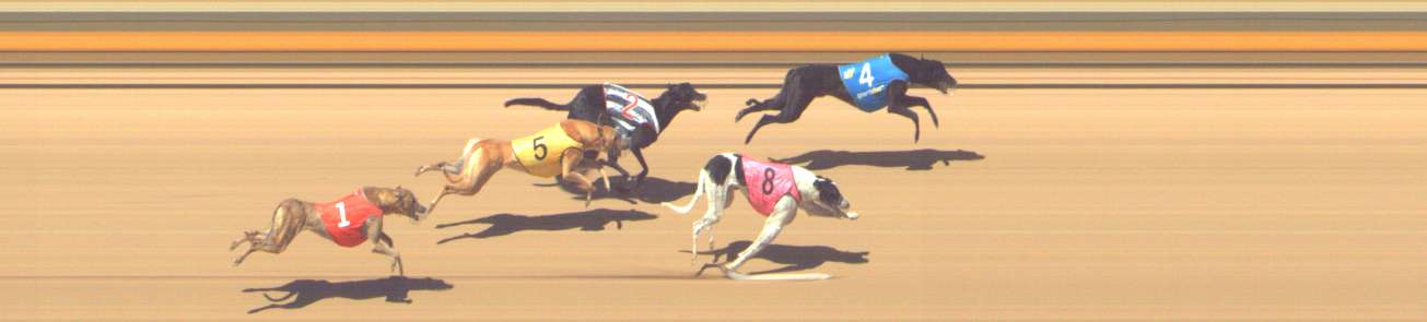 Photo finish for Shepparton Race 3
