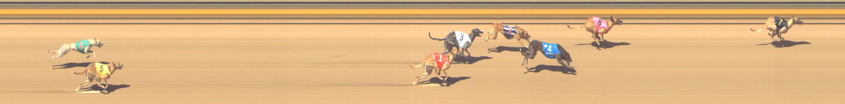 Photo finish for Shepparton Race 4