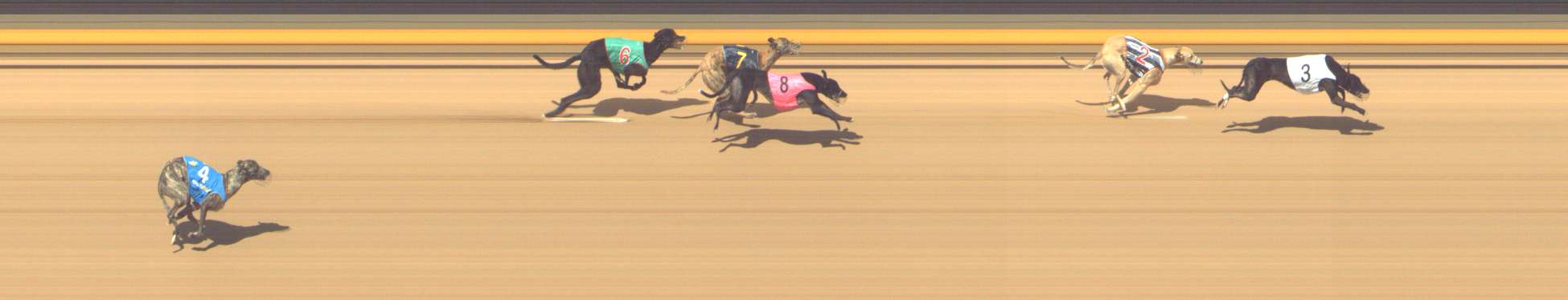 Photo finish for Shepparton Race 5