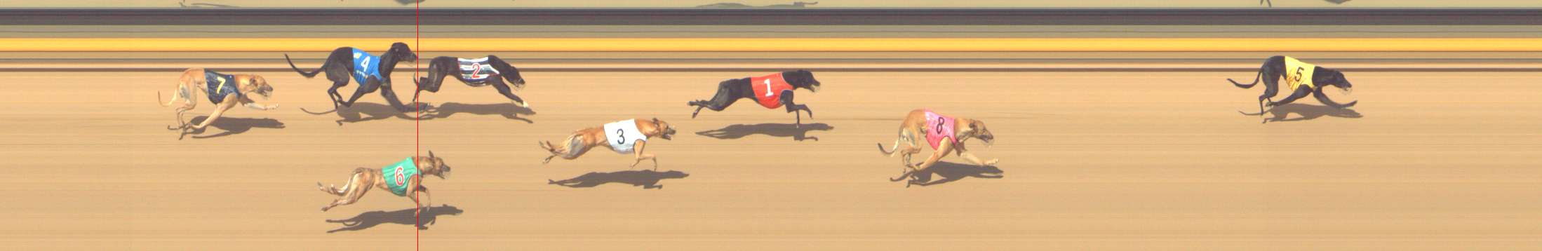 Photo finish for Shepparton Race 6