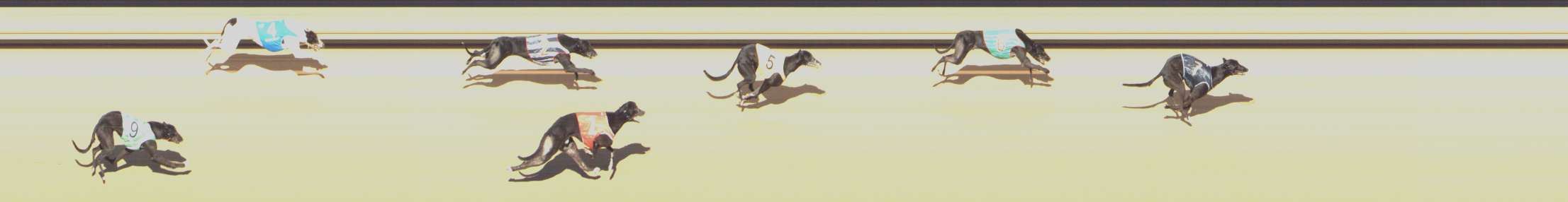 Photo finish for Shepparton Race 10