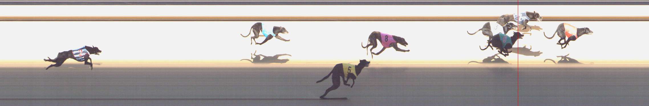Photo finish for Shepparton Race 11