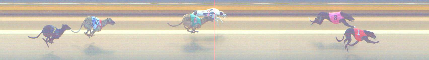 Photo finish for Shepparton Race 12