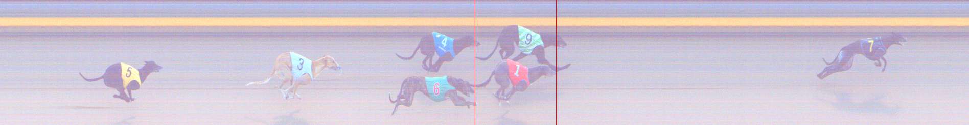 Photo finish for Shepparton Race 13