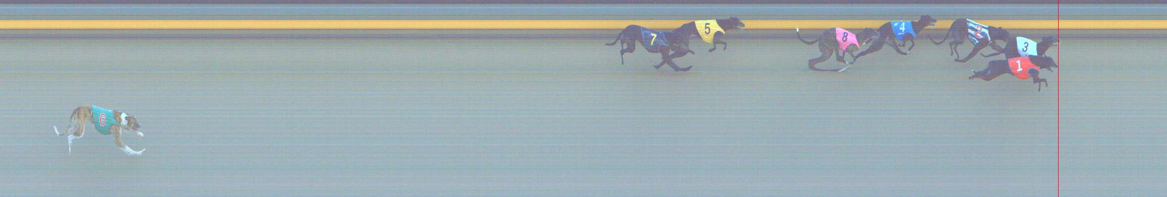 Photo finish for Shepparton Race 14