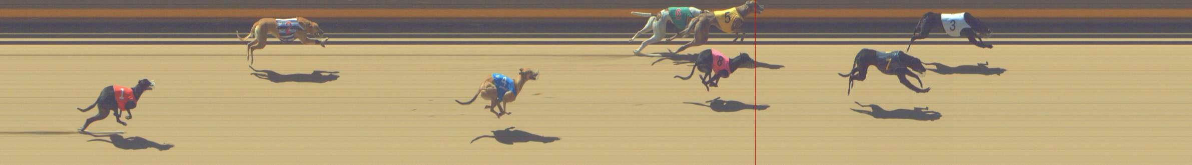 Photo finish for Shepparton Race 1