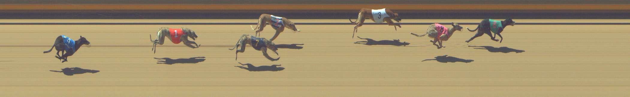 Photo finish for Shepparton Race 3