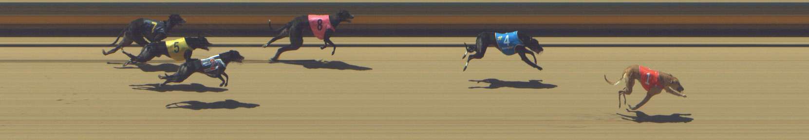 Photo finish for Shepparton Race 4