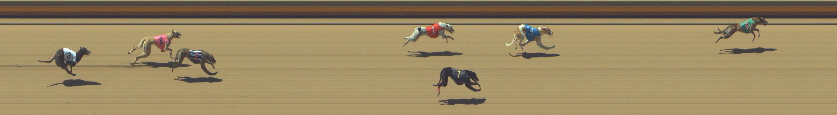 Photo finish for Shepparton Race 5