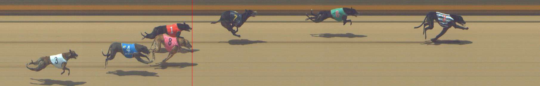Photo finish for Shepparton Race 7