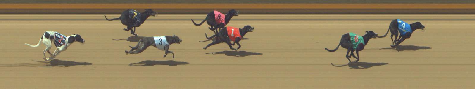 Photo finish for Shepparton Race 8