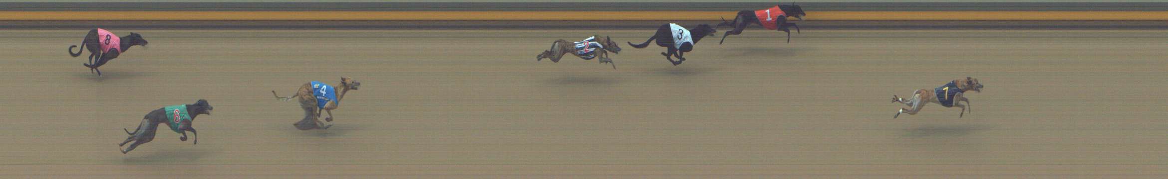 Photo finish for Shepparton Race 9