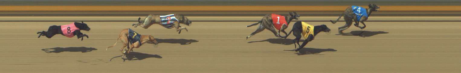 Photo finish for Shepparton Race 10