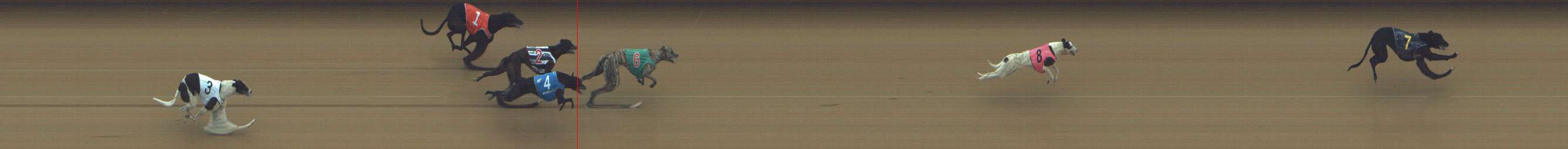Photo finish for Shepparton Race 1