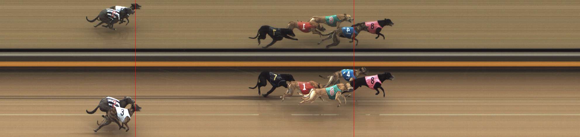 Photo finish for Shepparton Race 3