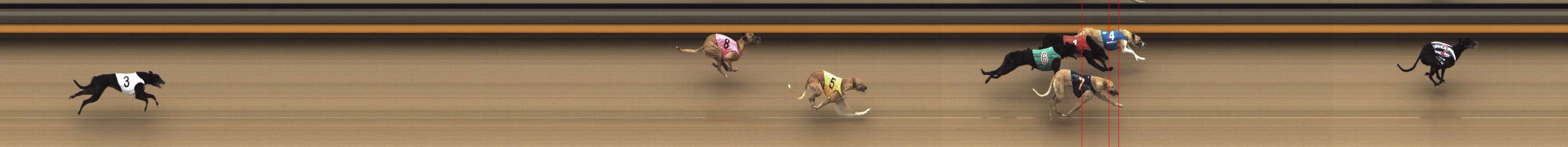 Photo finish for Shepparton Race 4