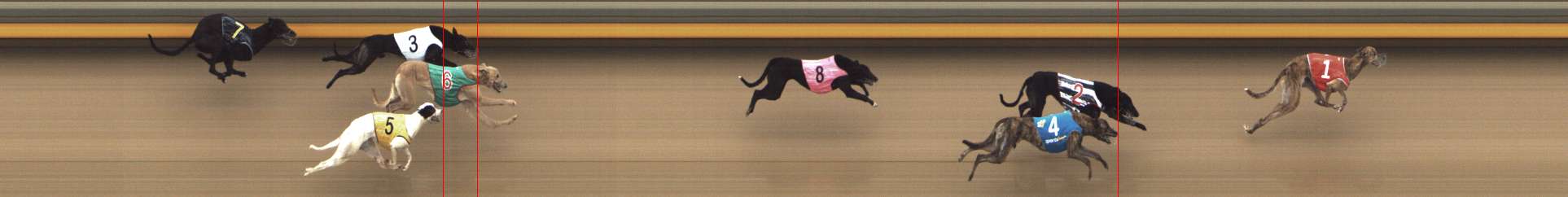 Photo finish for Shepparton Race 5