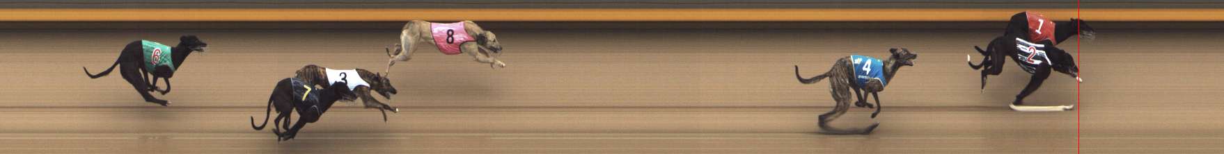 Photo finish for Shepparton Race 6