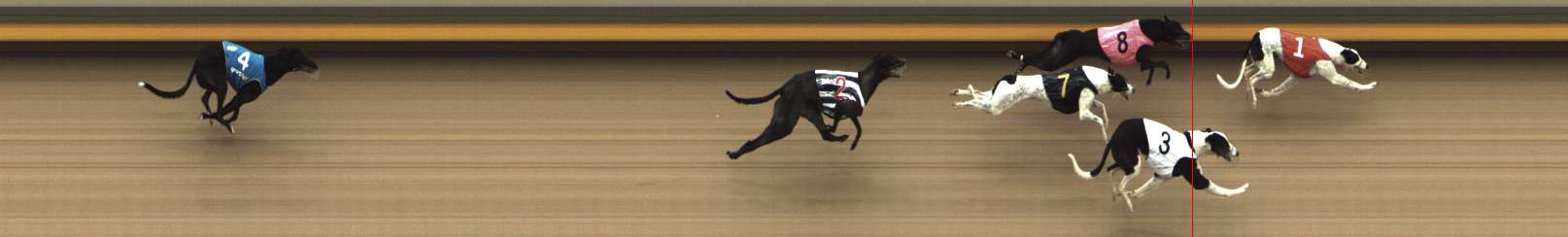 Photo finish for Shepparton Race 7