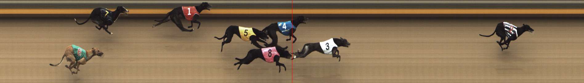 Photo finish for Shepparton Race 8