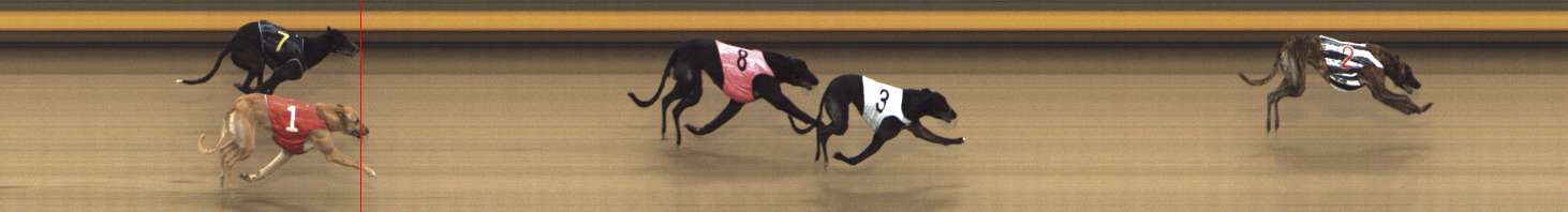 Photo finish for Shepparton Race 9