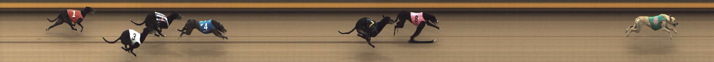 Photo finish for Shepparton Race 10