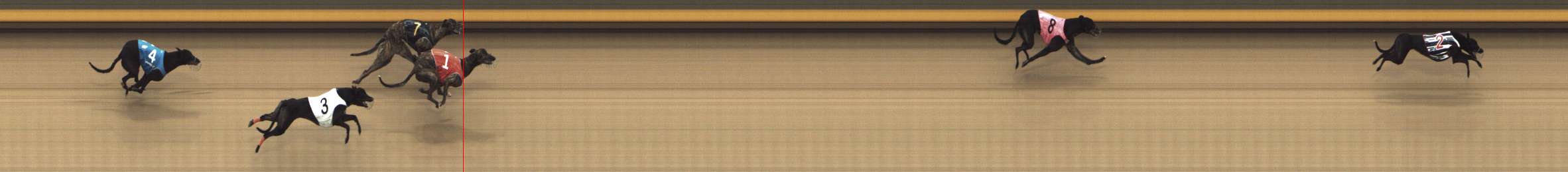Photo finish for Shepparton Race 11