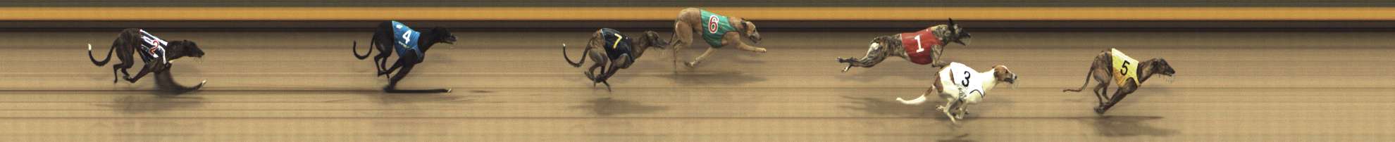 Photo finish for Shepparton Race 12