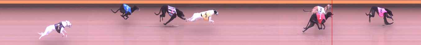 Photo finish for Shepparton Race 2