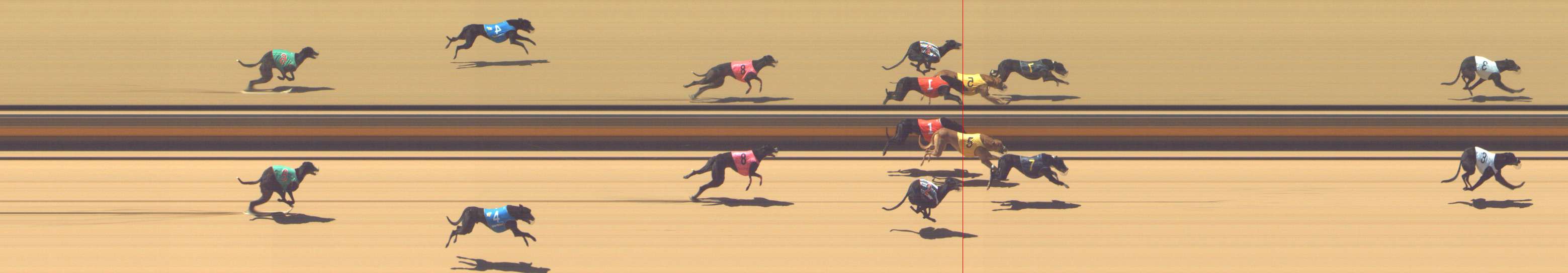 Photo finish for Shepparton Race 1