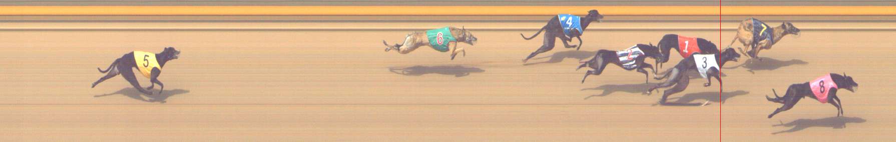 Photo finish for Shepparton Race 10