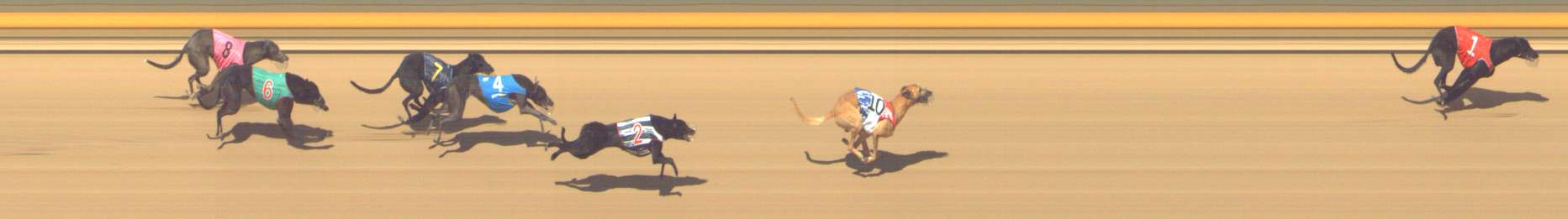 Photo finish for Shepparton Race 11